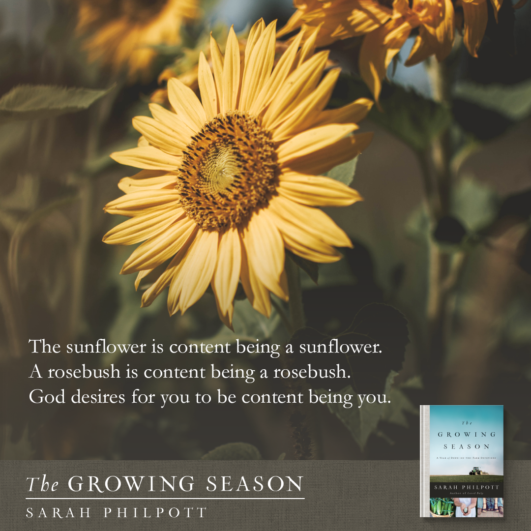 The Growing Season: A Year of Down on the Farm Devotions | Book Review and fun Giveaways